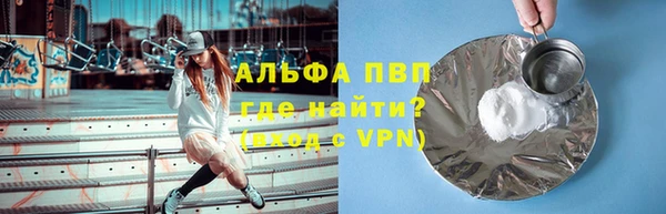 стафф Новодвинск