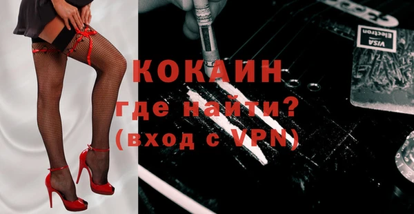 гидра Няндома