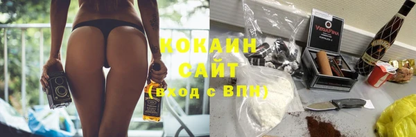 гидра Няндома