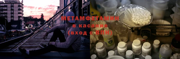 гидра Няндома