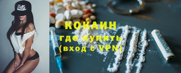 гидра Няндома
