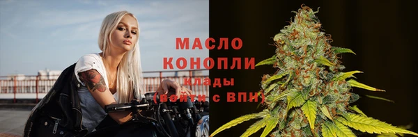 стафф Новодвинск