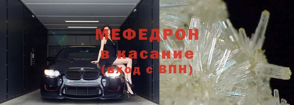 гидра Няндома