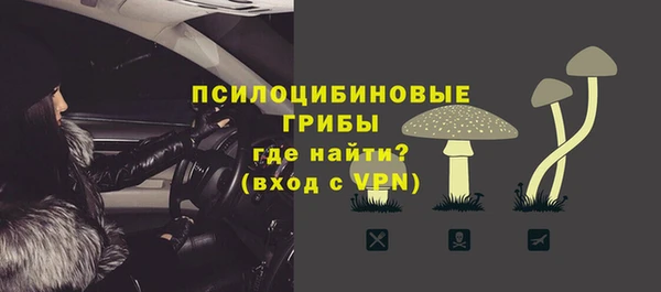 гидра Няндома