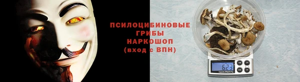 винт Нягань