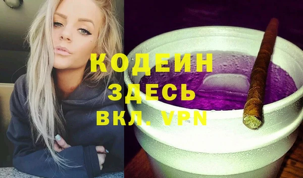 гидра Няндома
