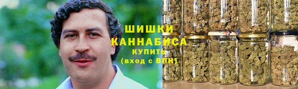 стафф Новодвинск