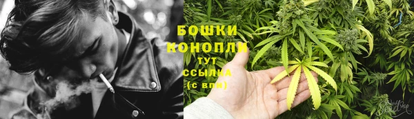стафф Новокубанск