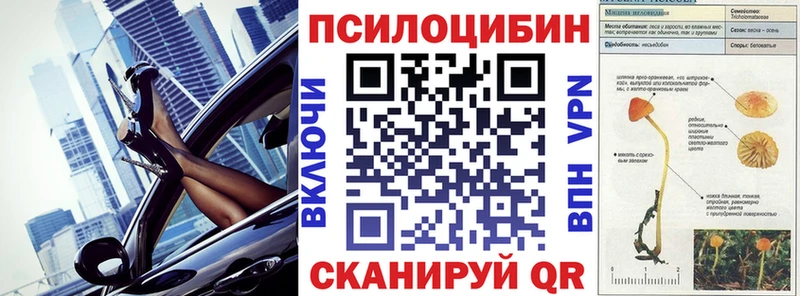 Псилоцибиновые грибы GOLDEN TEACHER  Россошь 