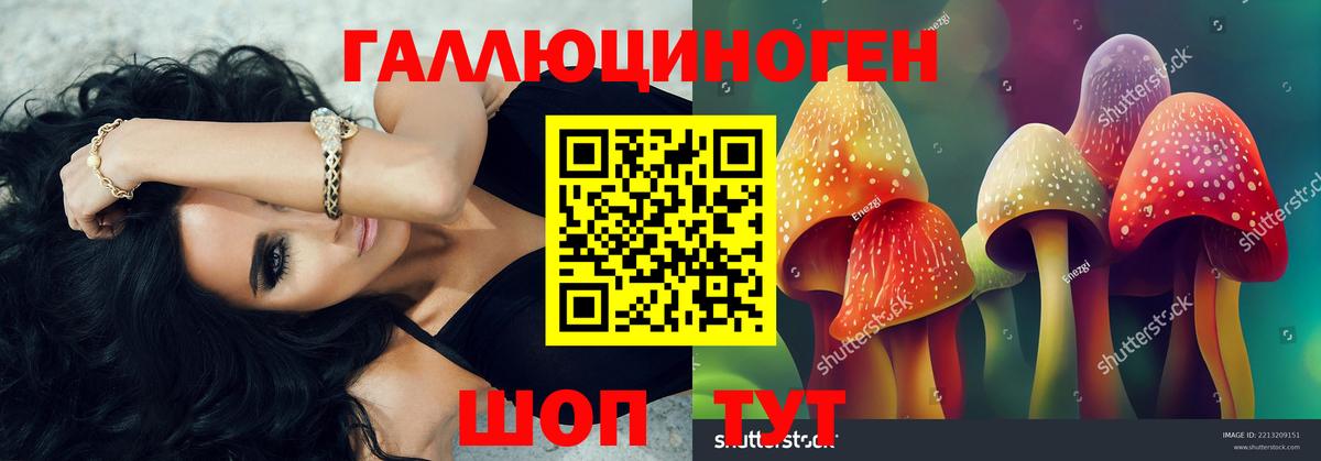 Россошь  Псилоцибиновые грибы Cubensis  Вход с VPN 